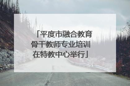 平度市融合教育骨干教师专业培训在特教中心举行