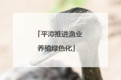 平潭推进渔业养殖绿色化