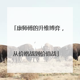 康师傅的升维博弈，从价格战到价值战