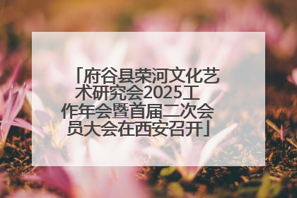 府谷县荣河文化艺术研究会2025工作年会暨首届二次会员大会在西安召开