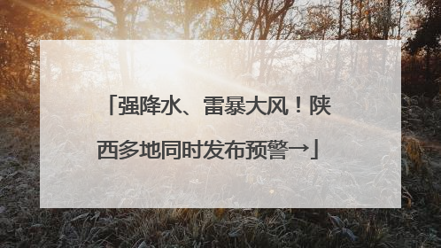 强降水、雷暴大风！陕西多地同时发布预警→