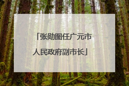 张勋图任广元市人民政府副市长
