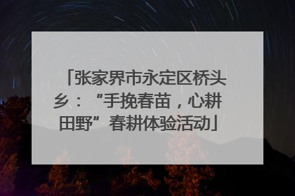张家界市永定区桥头乡：“手挽春苗，心耕田野”春耕体验活动