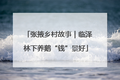 张掖乡村故事｜临泽林下养鹅“钱”景好