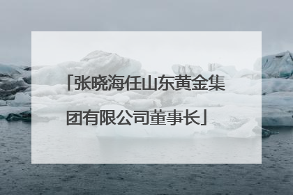 张晓海任山东黄金集团有限公司董事长