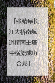 张靖皋长江大桥南航道桥南主塔中横梁成功合龙