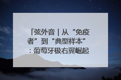 弦外音｜从“免疫者”到“典型样本”：葡萄牙极右翼崛起背后的欧洲困局