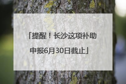 提醒！长沙这项补助申报6月30日截止