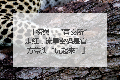 捞舆｜“青交所”走红，流量密码是官方带头“玩起来”