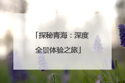 探秘青海：深度全景体验之旅