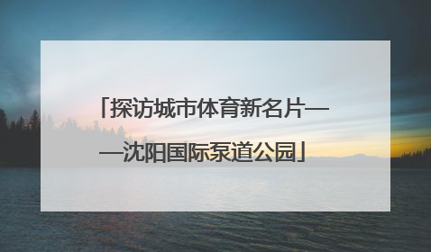 探访城市体育新名片——沈阳国际泵道公园
