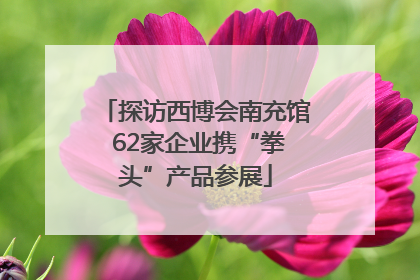 探访西博会南充馆 62家企业携“拳头”产品参展