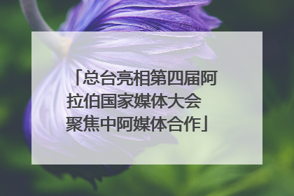 总台亮相第四届阿拉伯国家媒体大会 聚焦中阿媒体合作