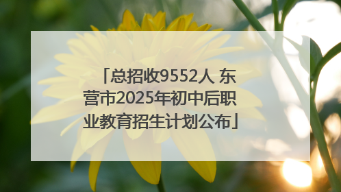 总招收9552人 东营市2025年初中后职业教育招生计划公布