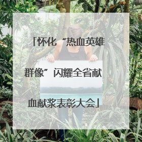 怀化“热血英雄群像”闪耀全省献血献浆表彰大会