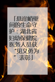 悬崖峭壁间的生命守护：湖北省妇幼保健院医务人员获“见义勇为”表彰