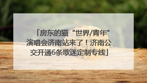 房东的猫“世界/青年”演唱会济南站来了！济南公交开通6条歌迷定制专线