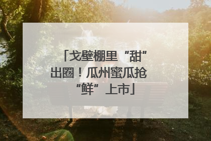戈壁棚里“甜”出圈！瓜州蜜瓜抢“鲜”上市