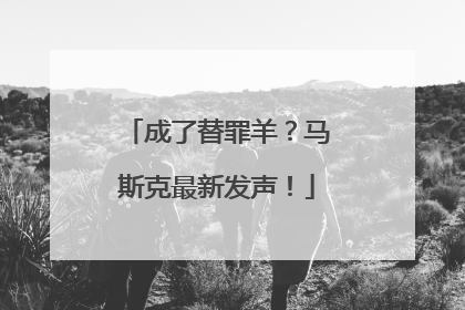 成了替罪羊？马斯克最新发声！