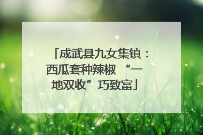 成武县九女集镇：西瓜套种辣椒 “一地双收”巧致富