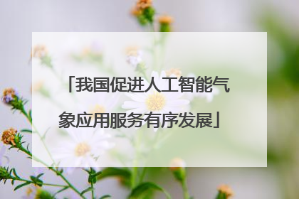 我国促进人工智能气象应用服务有序发展