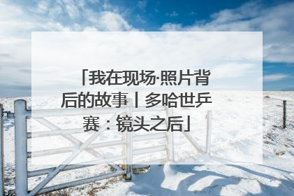 我在现场·照片背后的故事丨多哈世乒赛：镜头之后