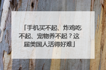 手机买不起、炸鸡吃不起、宠物养不起？这届美国人活得好难