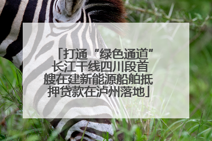 打通“绿色通道” 长江干线四川段首艘在建新能源船舶抵押贷款在泸州落地