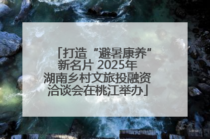 打造“避暑康养”新名片 2025年湖南乡村文旅投融资洽谈会在桃江举办