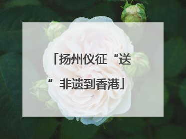 扬州仪征“送”非遗到香港