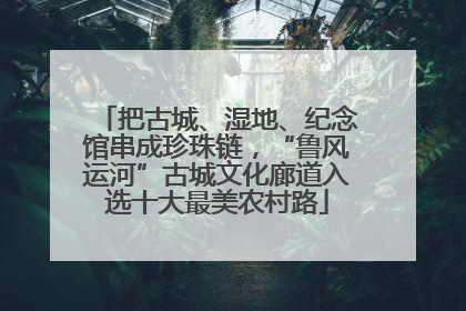 把古城、湿地、纪念馆串成珍珠链，“鲁风运河”古城文化廊道入选十大最美农村路