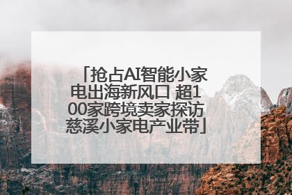 抢占AI智能小家电出海新风口 超100家跨境卖家探访慈溪小家电产业带