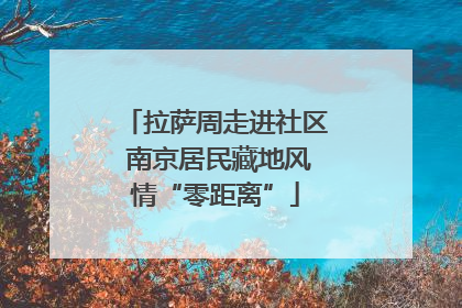 拉萨周走进社区 南京居民藏地风情“零距离”