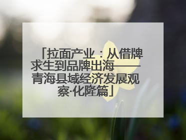 拉面产业：从借牌求生到品牌出海——青海县域经济发展观察·化隆篇