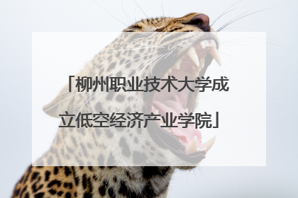 柳州职业技术大学成立低空经济产业学院