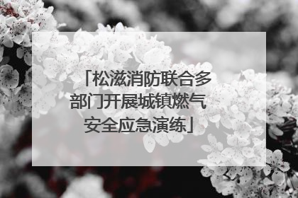 松滋消防联合多部门开展城镇燃气安全应急演练