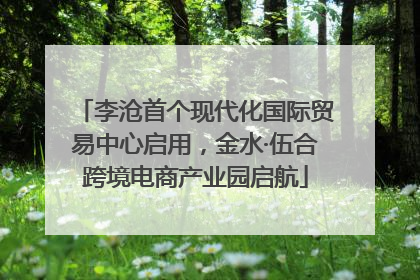 李沧首个现代化国际贸易中心启用，金水·伍合跨境电商产业园启航