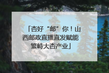杏好“邮”你！山西邮政直播直发赋能繁峙大杏产业