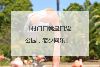 村门口就是口袋公园，老少同乐