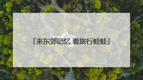 来东郊记忆 看旅行蛙蛙