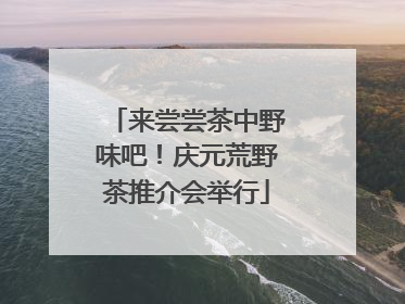 来尝尝茶中野味吧！庆元荒野茶推介会举行