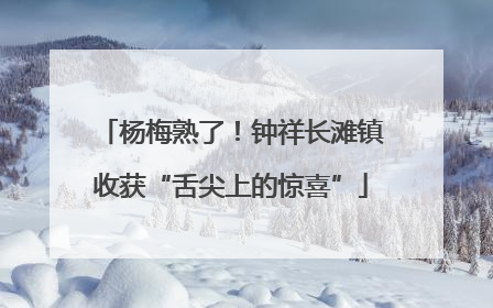 杨梅熟了！钟祥长滩镇收获“舌尖上的惊喜”