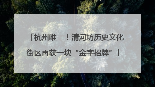 杭州唯一！清河坊历史文化街区再获一块“金字招牌”