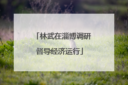 林武在淄博调研督导经济运行