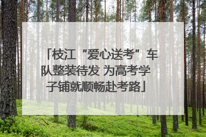 枝江“爱心送考”车队整装待发 为高考学子铺就顺畅赴考路