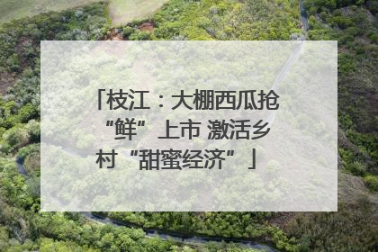 枝江：大棚西瓜抢“鲜”上市 激活乡村“甜蜜经济”