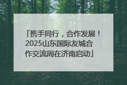 携手同行，合作发展！2025山东国际友城合作交流周在济南启动