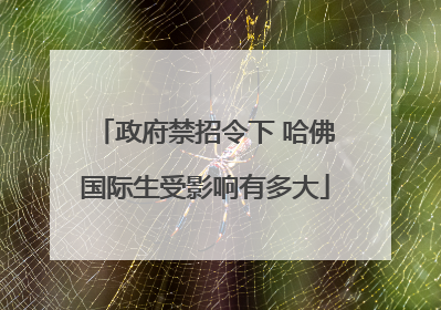 政府禁招令下 哈佛国际生受影响有多大
