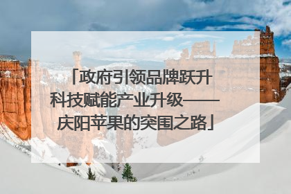 政府引领品牌跃升 科技赋能产业升级——庆阳苹果的突围之路