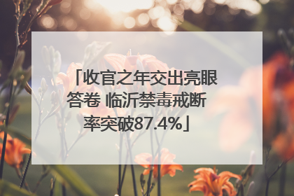 收官之年交出亮眼答卷 临沂禁毒戒断率突破87.4%